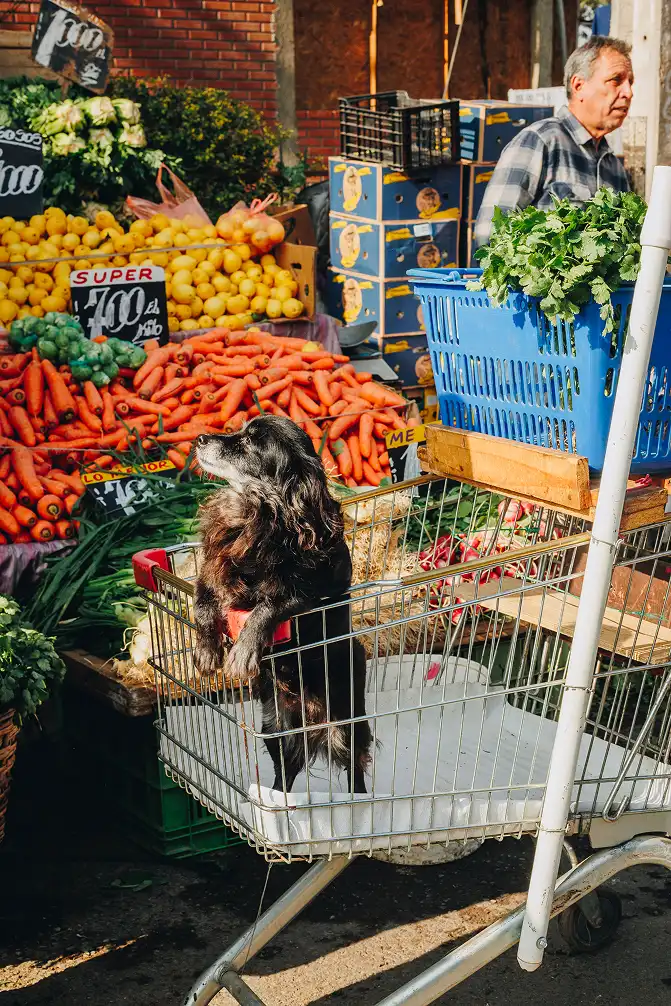 Puesto de verduras en feria libre